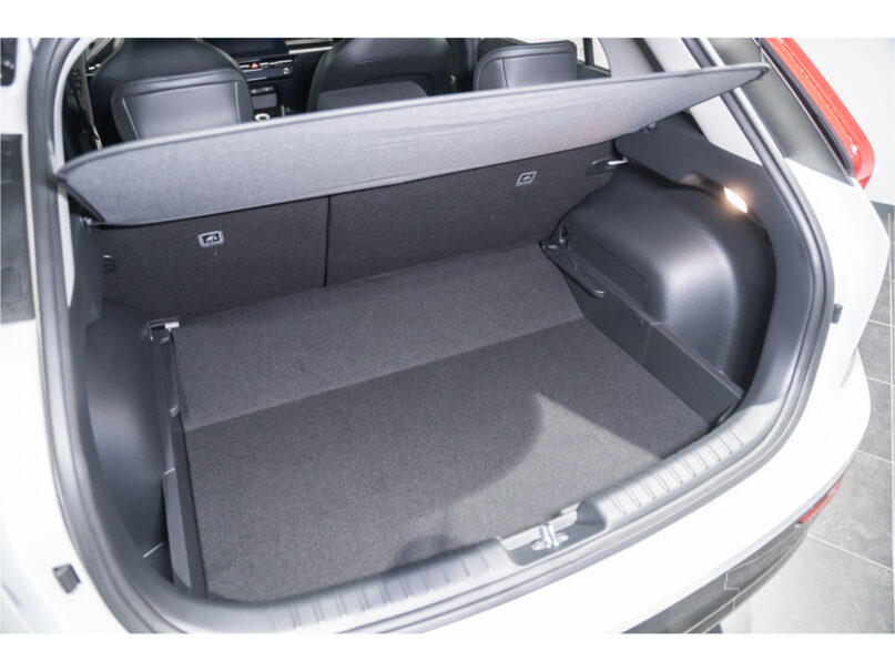 Kia Niro EV DynamicLine 65 kWh - 11