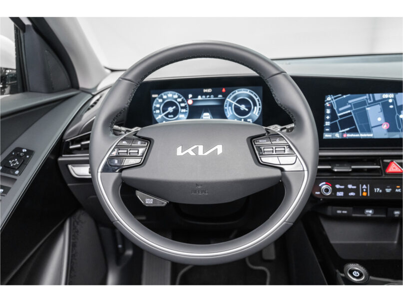 Kia Niro EV DynamicLine 65 kWh - 13