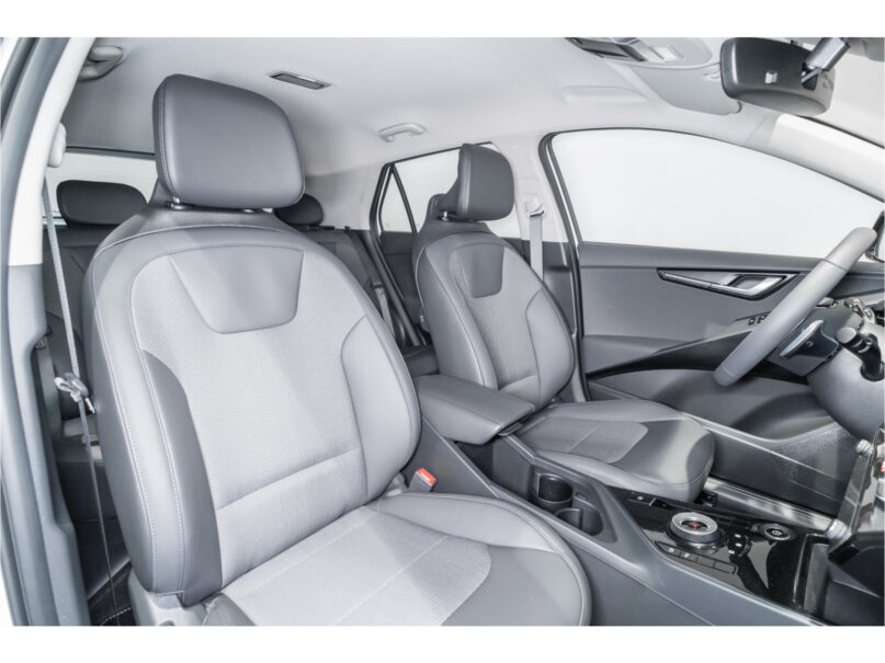 Kia Niro EV DynamicLine 65 kWh - 20
