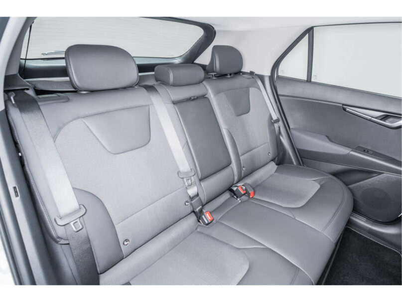 Kia Niro EV DynamicLine 65 kWh - 21