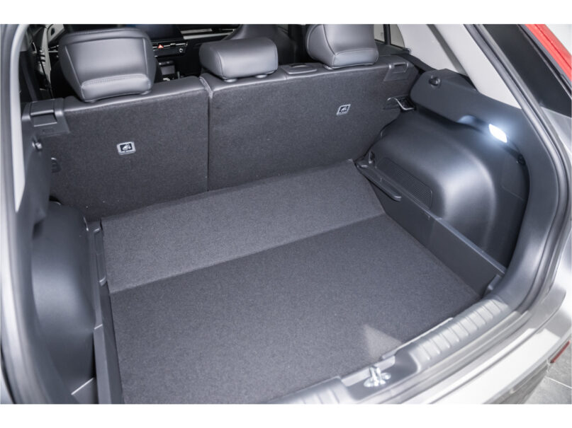 Kia Niro EV DynamicPlusLine 65 kWh - 10
