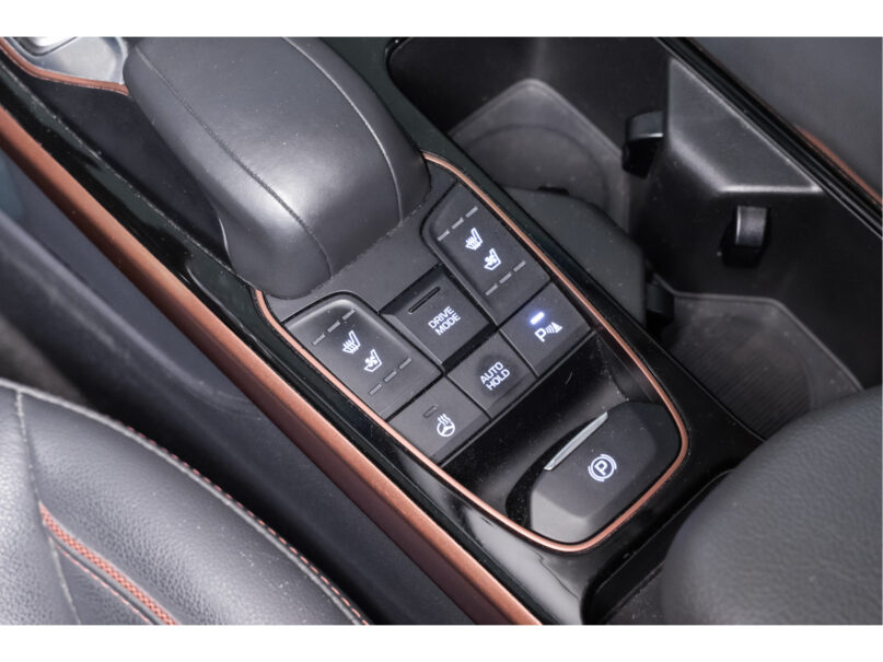 Hyundai IONIQ Premium EV - 19